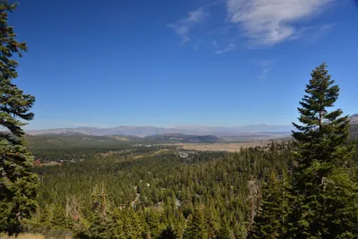 DSC_7823 (Large).JPG